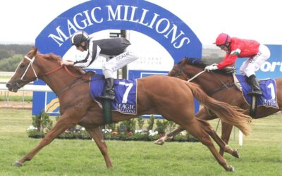 See the spectacular 2014 Jeep Magic Millions Raceday